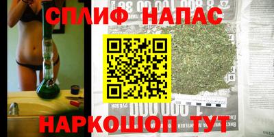 мдпв Тара